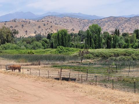 33193 Globe Dr, Springville, CA 93265 photo 3