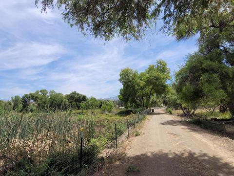 33193 Globe Dr, Springville, CA 93265 photo 13