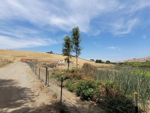 33193 Globe Dr, Springville, CA 93265 photo 12