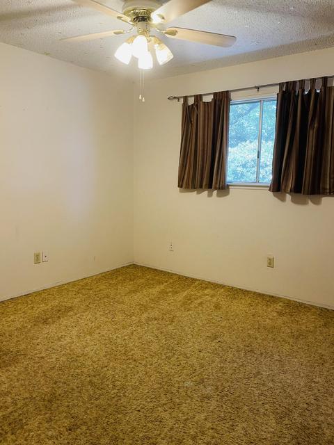 20076 Rd 244, Strathmore, CA 93267 photo 13