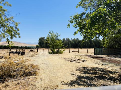20076 Rd 244, Strathmore, CA 93267 photo 23