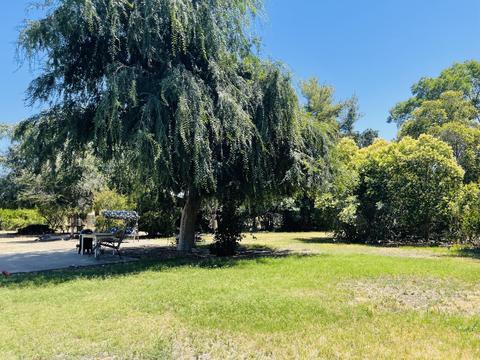 20076 Rd 244, Strathmore, CA 93267 photo 18