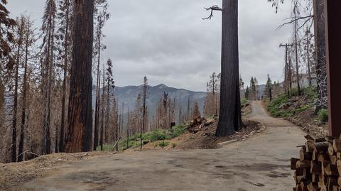 55114 Alder Dr, Sequoia Crest, CA 93265 photo 20