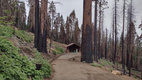 55114 Alder Dr, Sequoia Crest, CA 93265 photo 1