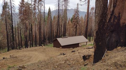 55114 Alder Dr, Sequoia Crest, CA 93265 photo 3