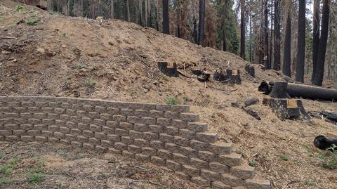 55114 Alder Dr, Sequoia Crest, CA 93265 photo 17