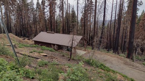 55114 Alder Dr, Sequoia Crest, CA 93265 photo 5
