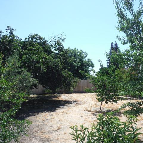 2401 E Feemster Ave, Visalia, CA 93292 photo 14