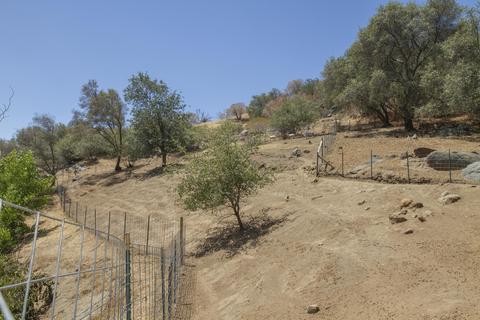 43176 Bryson Rd, Squaw Valley, CA 93675 photo 79