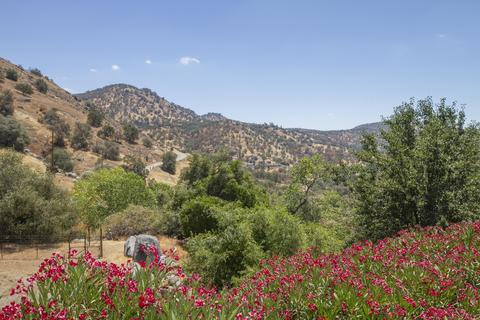 43176 Bryson Rd, Squaw Valley, CA 93675 photo 89