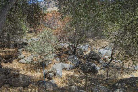 43176 Bryson Rd, Squaw Valley, CA 93675 photo 81