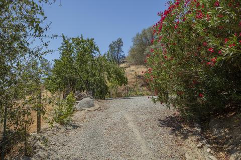 43176 Bryson Rd, Squaw Valley, CA 93675 photo 87