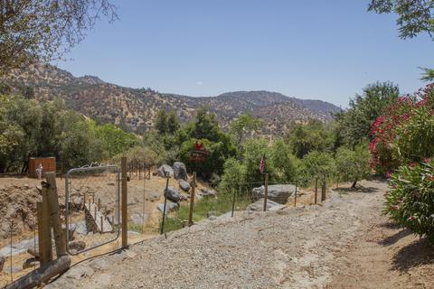 43176 Bryson Rd, Squaw Valley, CA 93675 photo 82
