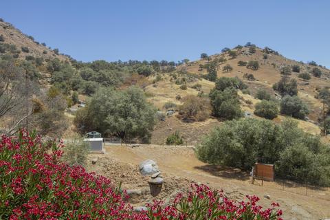 43176 Bryson Rd, Squaw Valley, CA 93675 photo 90
