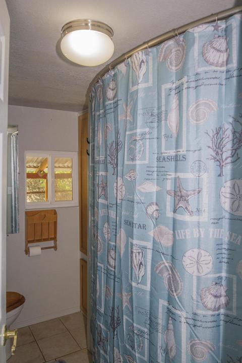 43176 Bryson Rd, Squaw Valley, CA 93675 photo 29