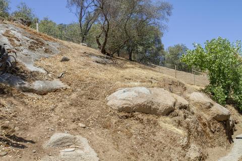 43176 Bryson Rd, Squaw Valley, CA 93675 photo 92