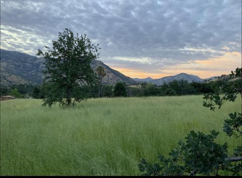 40930 Blossom Dr, Three Rivers, CA 93271 photo 7