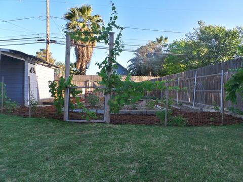 209 E 11th St, Hanford, CA 93230 photo 35