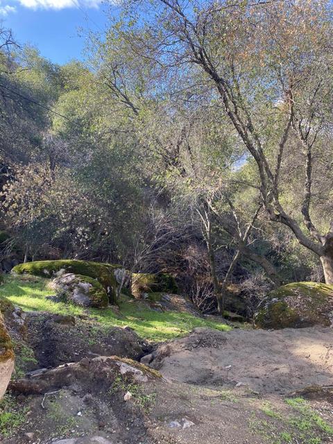 44526 Sierra Dr #B, Three Rivers, CA 93271 photo 22