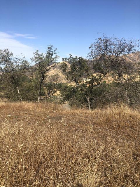42140 Corral Dr, Three Rivers, CA 93271 photo 3