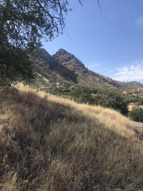 42140 Corral Dr, Three Rivers, CA 93271