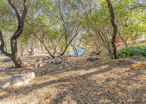 44879 Dinely Dr, Three Rivers, CA 93271 photo 43