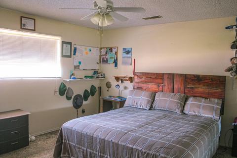 239 E Linzmeier Dr, Dinuba, CA 93618 photo 13