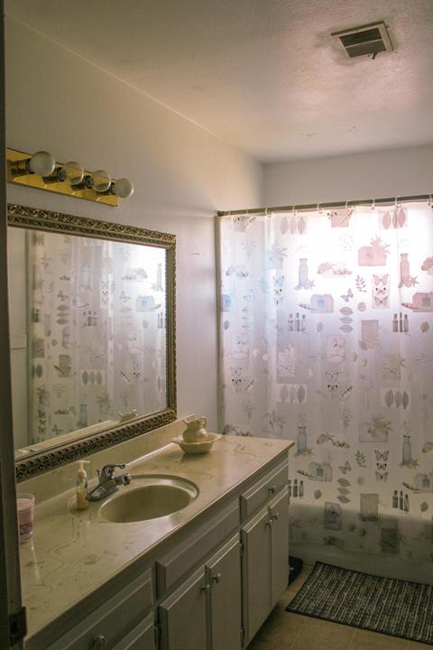 239 E Linzmeier Dr, Dinuba, CA 93618 photo 9