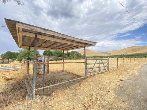 20901 Rd 256, Strathmore, CA 93267 photo 10