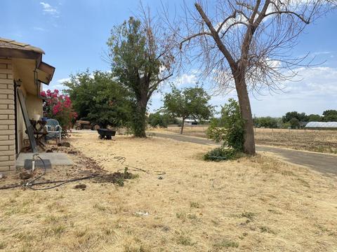 20901 Rd 256, Strathmore, CA 93267 photo 15