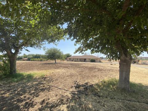 20901 Rd 256, Strathmore, CA 93267 photo 26