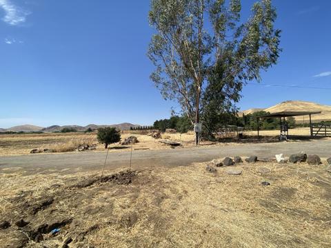 20901 Rd 256, Strathmore, CA 93267 photo 20