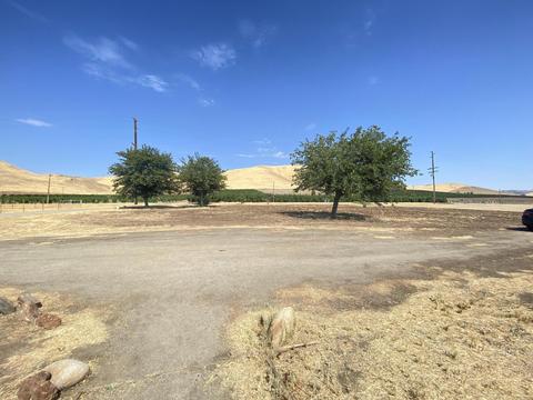 20901 Rd 256, Strathmore, CA 93267 photo 22