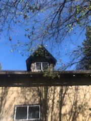 394 Sutherland Dr, Springville, CA 93265 photo 42