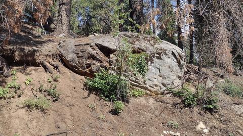 54532 Redwood Dr, Sequoia Crest, CA 93265 photo 47