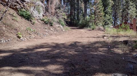 54532 Redwood Dr, Sequoia Crest, CA 93265 photo 44