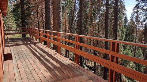 54532 Redwood Dr, Sequoia Crest, CA 93265 photo 10