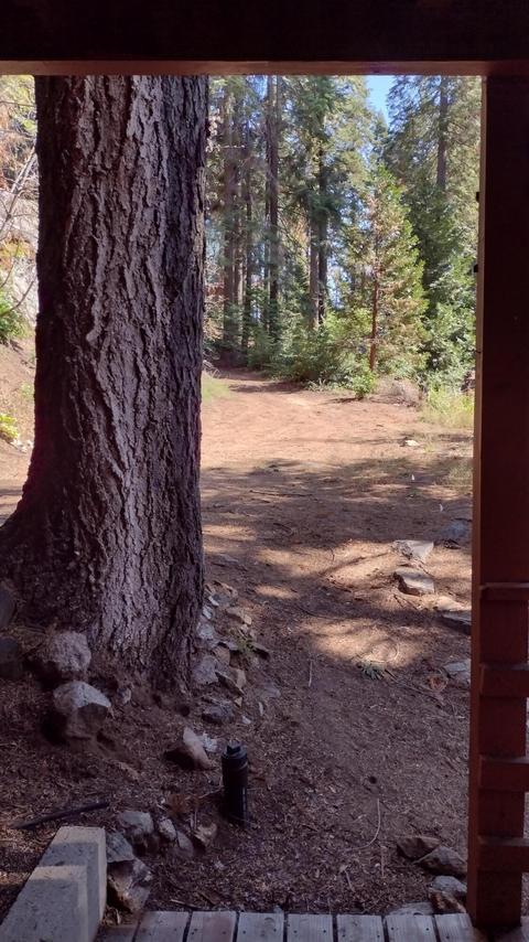 54532 Redwood Dr, Sequoia Crest, CA 93265 photo 43