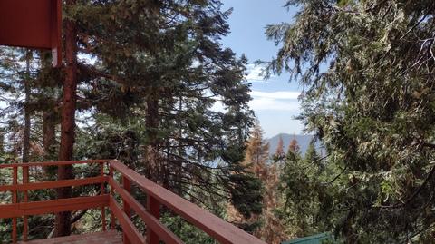 54532 Redwood Dr, Sequoia Crest, CA 93265 photo 3