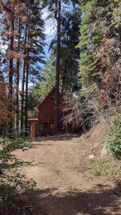 54532 Redwood Dr, Sequoia Crest, CA 93265 photo 48