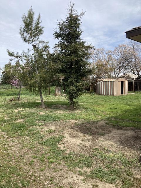 1028 E K Ave, Visalia, CA 93292 photo 22