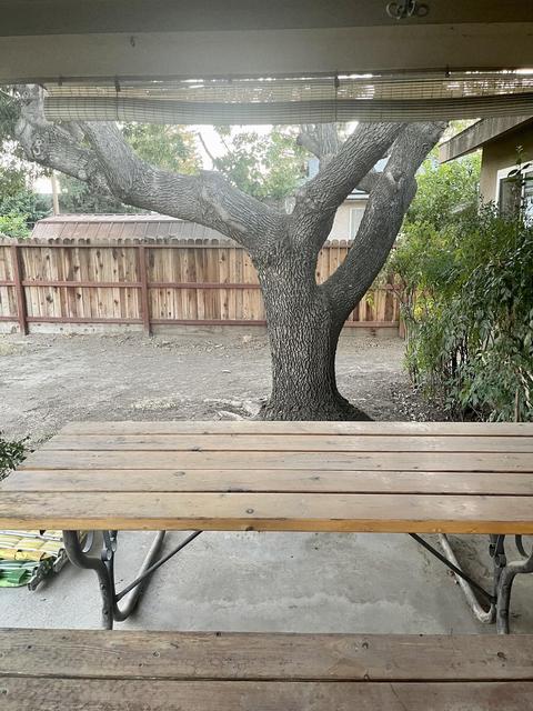497 E Sandra Ave, Tulare, CA 93274 photo 19