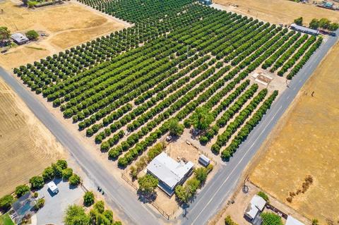 31565 Blair Rd, Exeter, CA 93221 photo 10