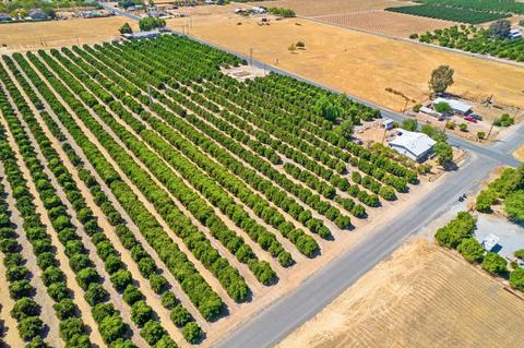 31565 Blair Rd, Exeter, CA 93221 photo 11