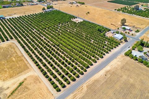 31565 Blair Rd, Exeter, CA 93221 photo 13
