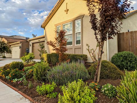 3469 Del Monte Ave, Clovis, CA 93619 photo 3
