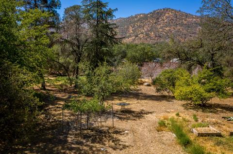 40931 Cherokee Oaks Dr, Three Rivers, CA 93271 photo 22