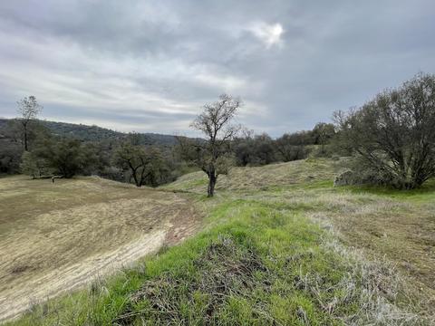 1 Gooseberry, Prather, CA 93651 photo 9