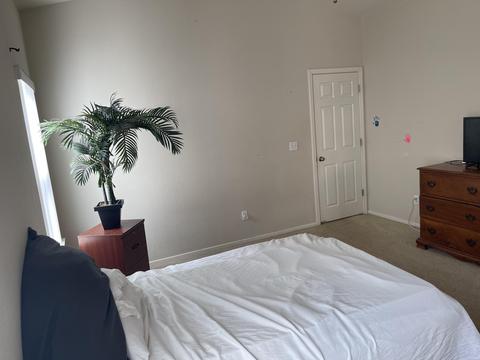 1646 Persimmon St, Lemoore, CA 93245 photo 24