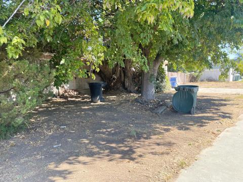890 Laurel Ln, Lemoore, CA 93245 photo 15